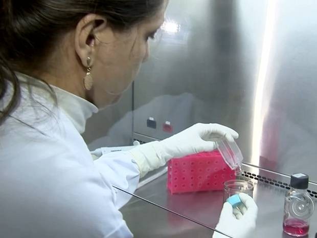 Estudo em Rio Preto tem objetivo de melhorar prevenção contra a dengue