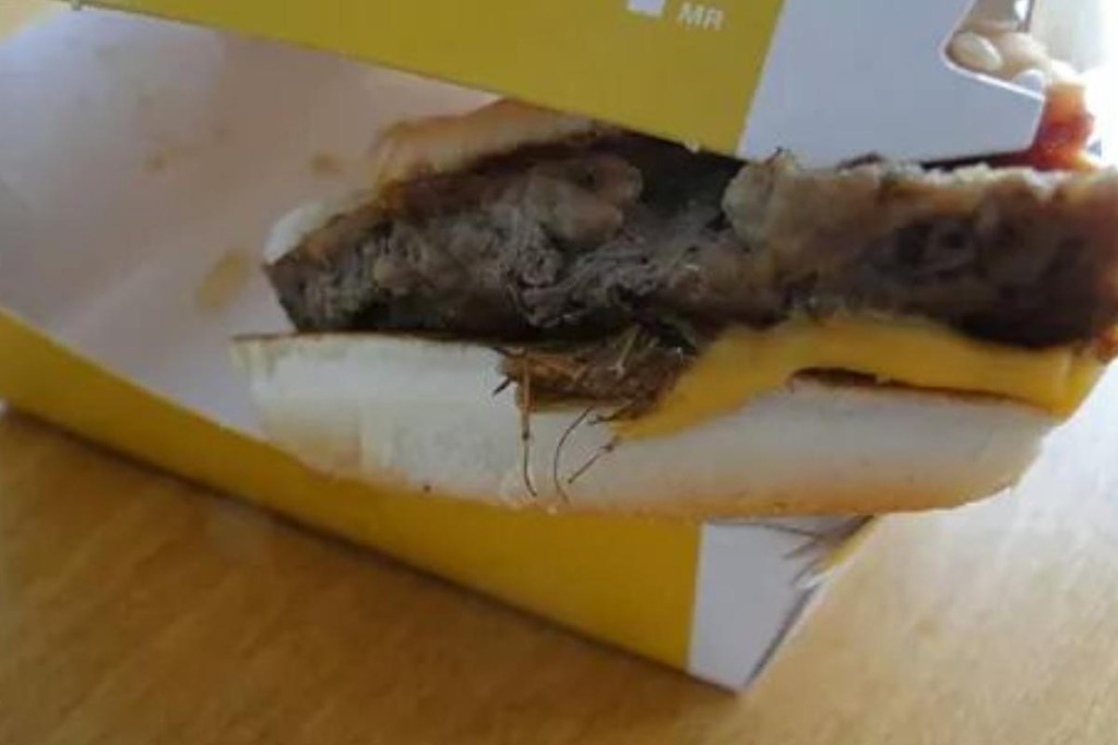Fast Food com barata rende R$ 10 mil a cliente; inseto no meio do queijo derretido