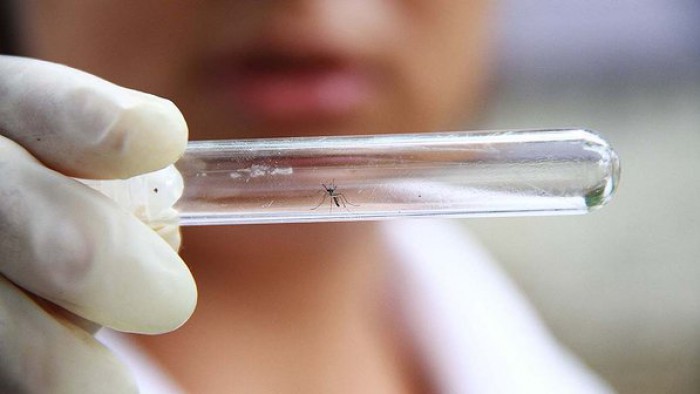 Exames para detecção de dengue e chikungunya passam a ter cobertura obrigatória