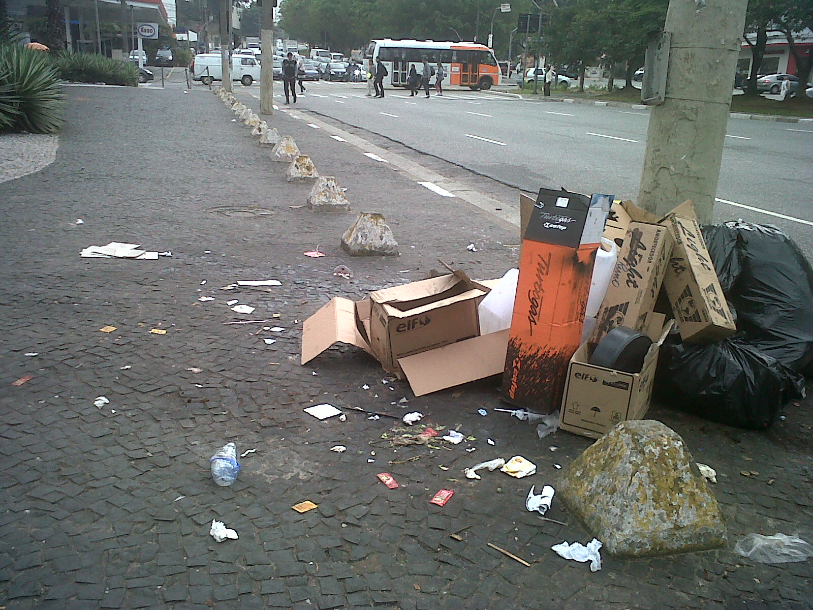 Falta de higiene favorece as pragas nas cidades