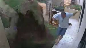 Homem explode quintal ao tentar matar baratas no Paraná
